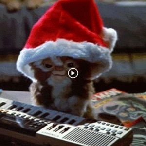 Meet your Posher, Delilah